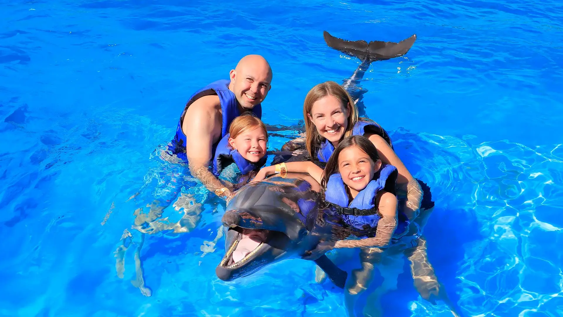 Private Dolphin Swim