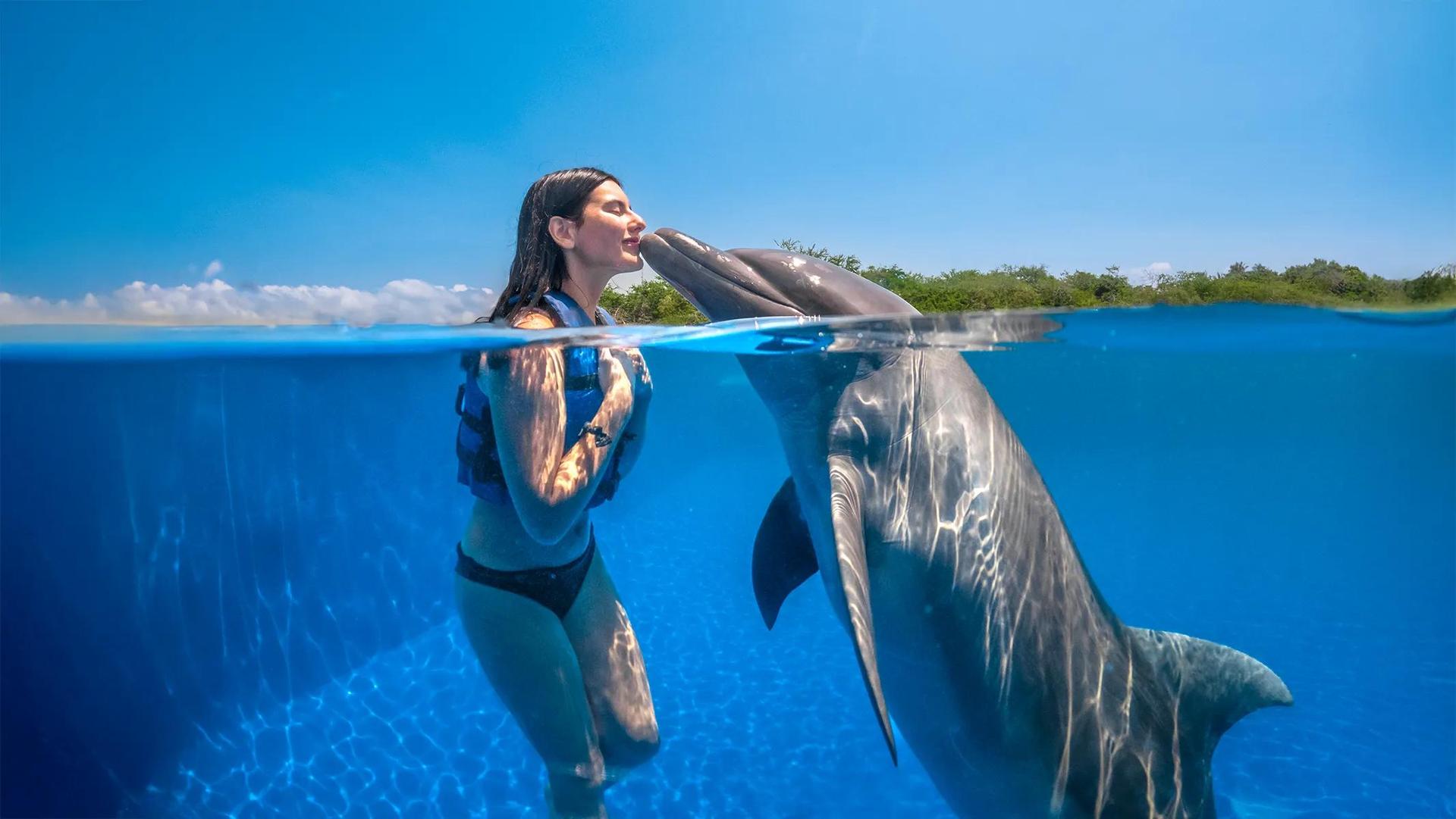 Aventura con Delfines