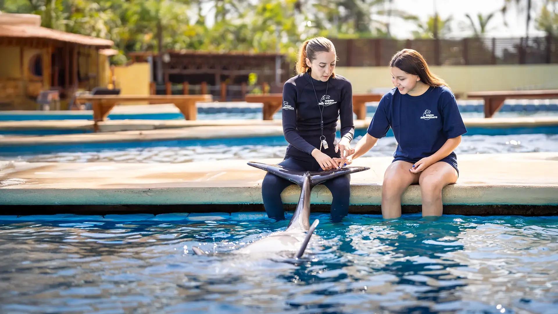Marine Mammal Trainer for a Day
