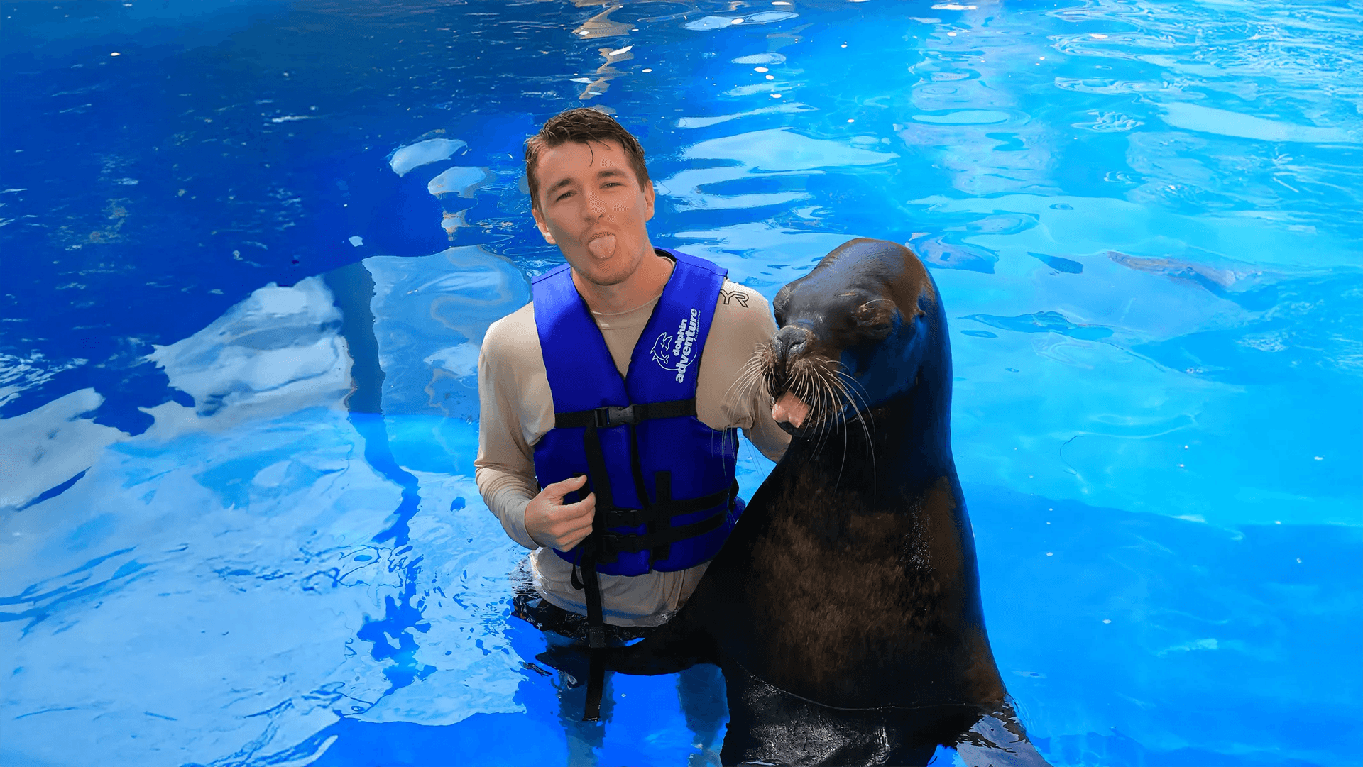 Sea Lion Encounter
